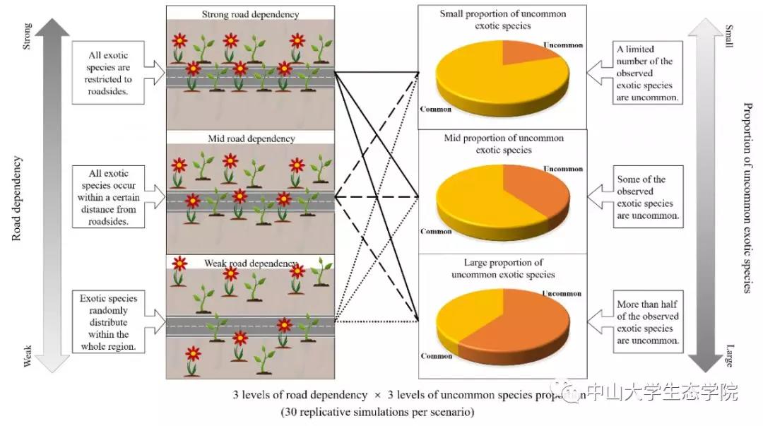 基于外来种分布的道路依赖程度和不常见外来种的比例的9种组合情境拟合虚拟数据集