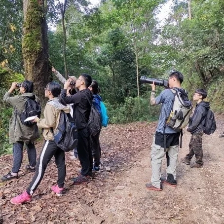 鸟类组进行观鸟和记录