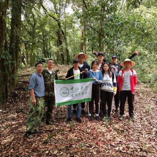植被组建立森林样地