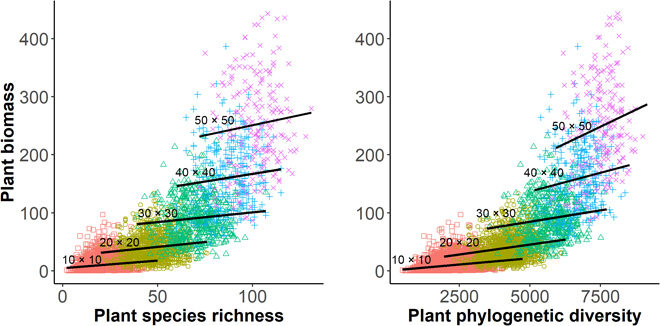 自然群落中多样性生产力关系