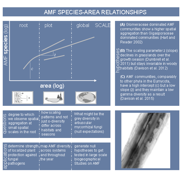 7b6b2b22903c787cd8d8a91d7726a0b7