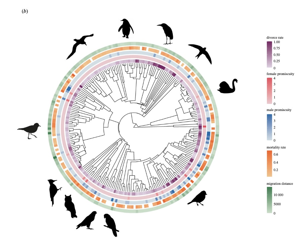 84c085d13e0f8fb3bc65929d34258e61