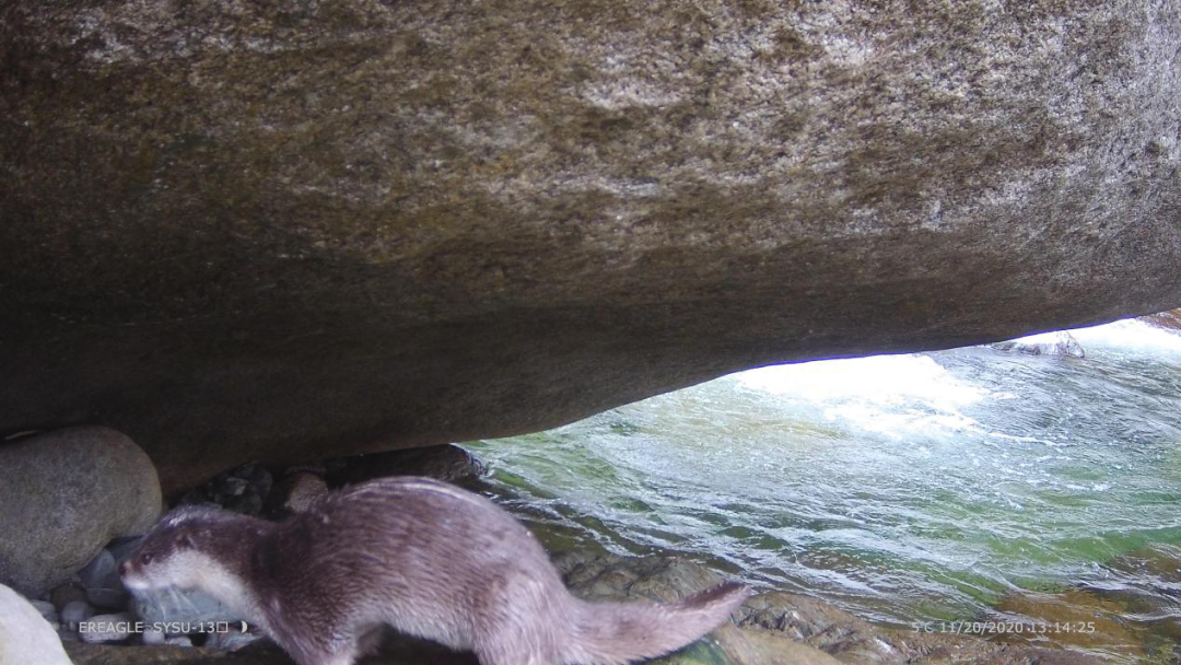 9a602cde243abb4e55364940d9226151