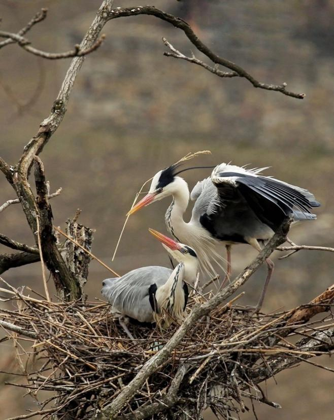 c1487d7fed74a4c5ff27b7fbf087f5c2