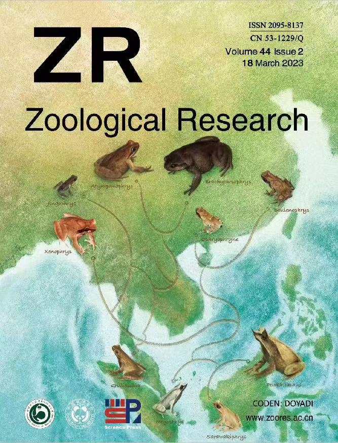 c284e00720e2347f02ada61ce15ebea