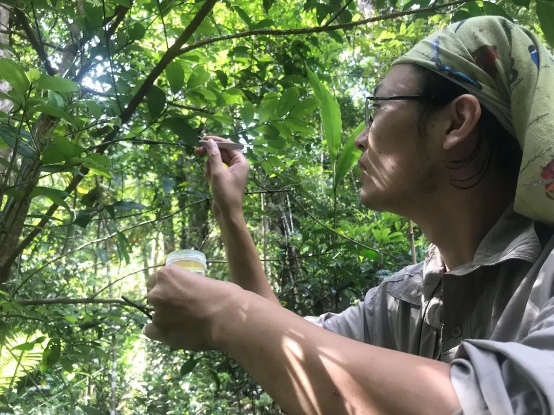 ce538983a377ab1752e88a0d68872718