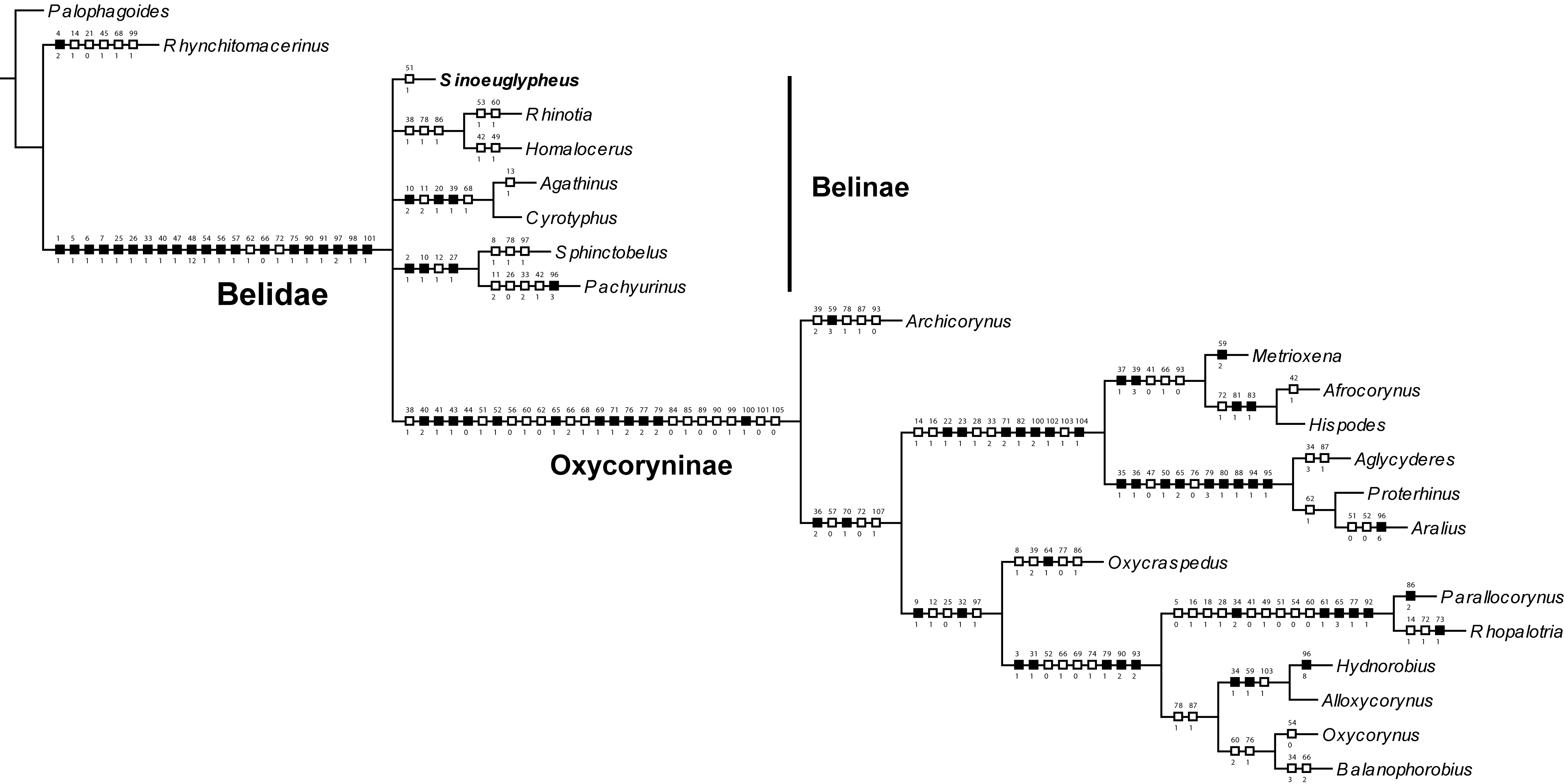 image-20191101144713-1