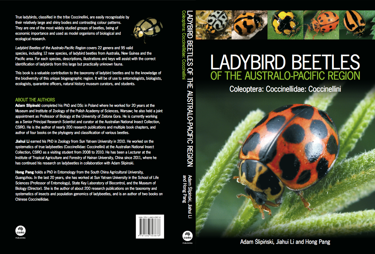 image-20191101164345-1