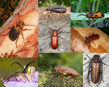 image-20200211142441-2