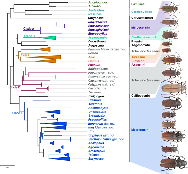 image-20200211142538-4