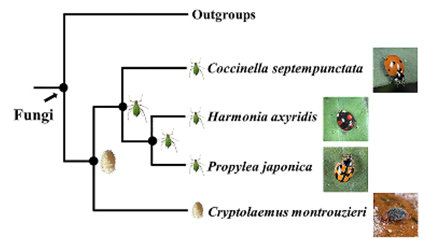 image-20200213211441-1