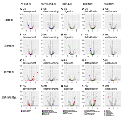 image-20200213211706-3