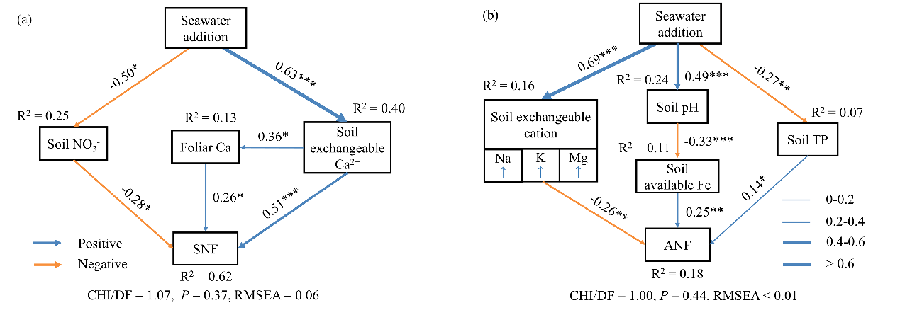 image-20210915094643-8