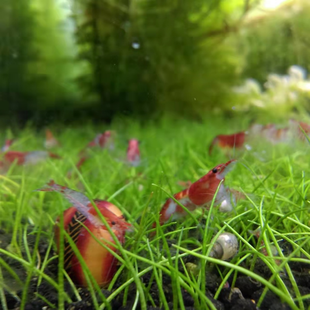 image-20211018001025-1