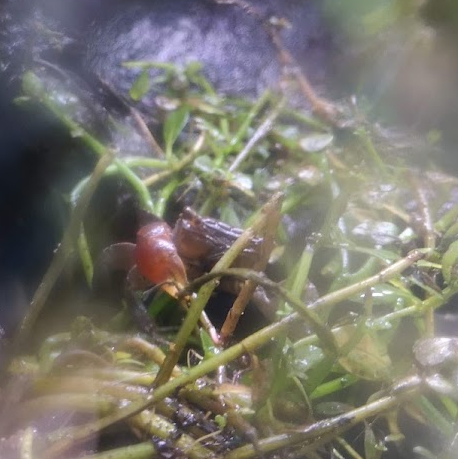 image-20211018001025-2