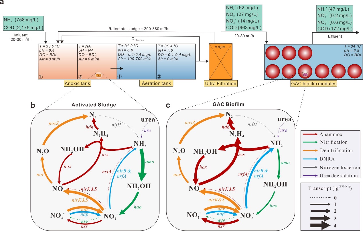 image-20211019115751-1