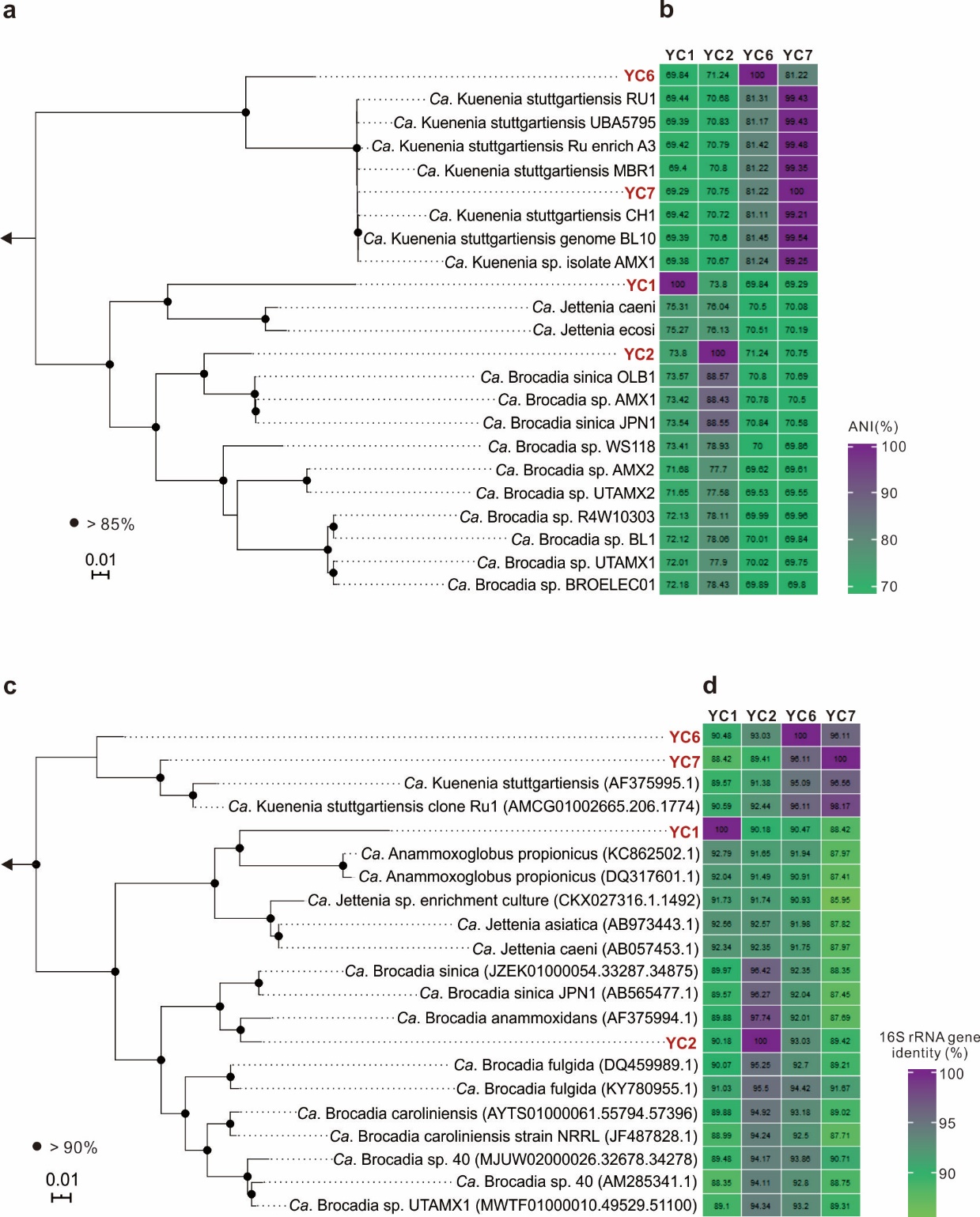 image-20211019115751-2