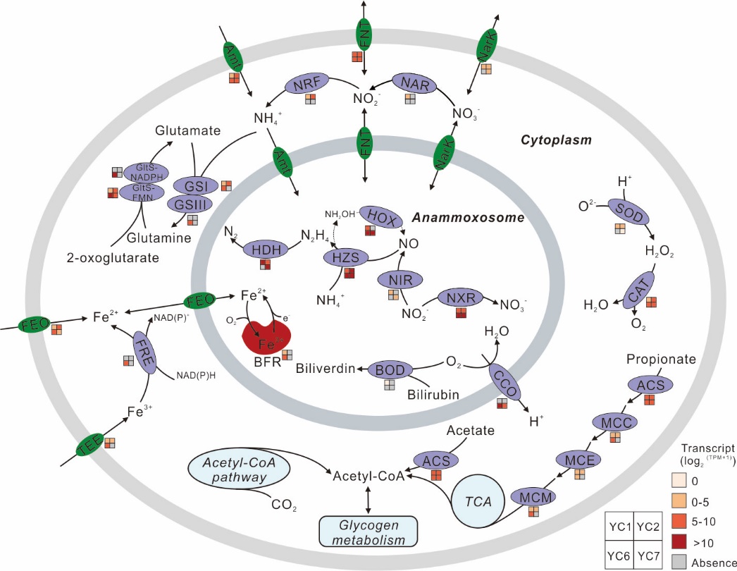 image-20211019115751-3