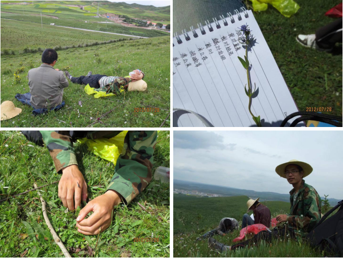 image-20211119211724-3