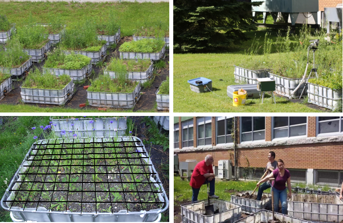 image-20211119211831-4