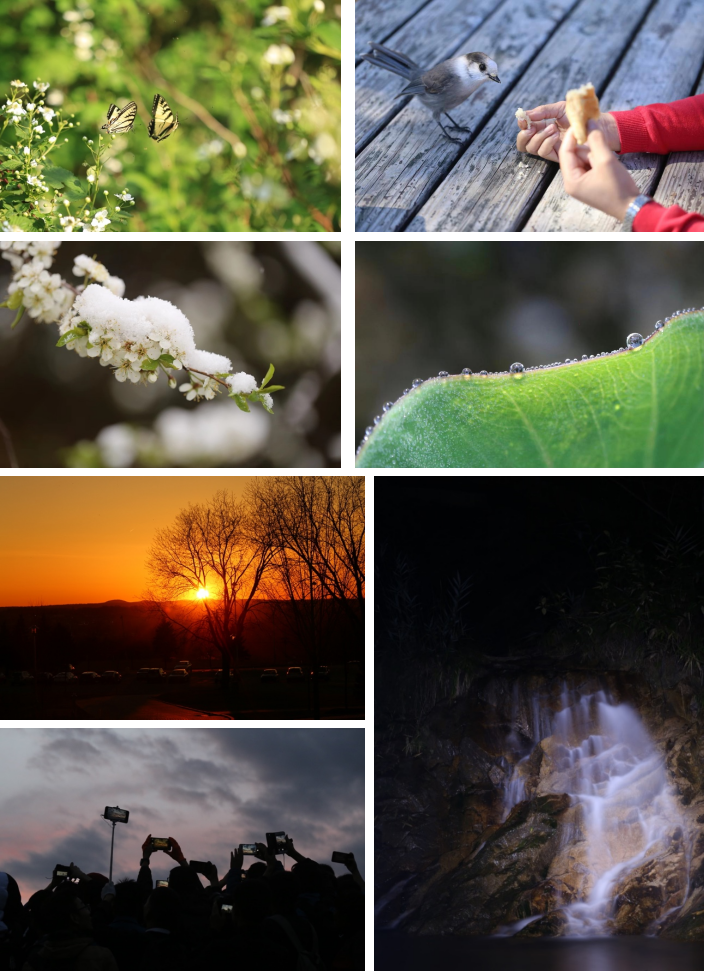 image-20211119212123-6