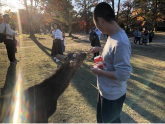 image-20211123003918-3