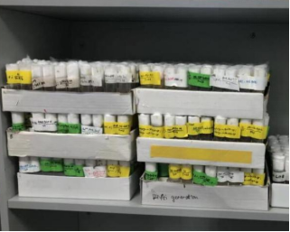 image-20211123004029-5