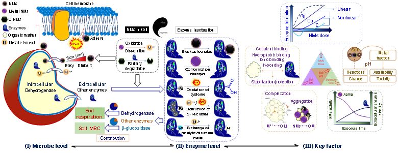 image-20211124073443-1