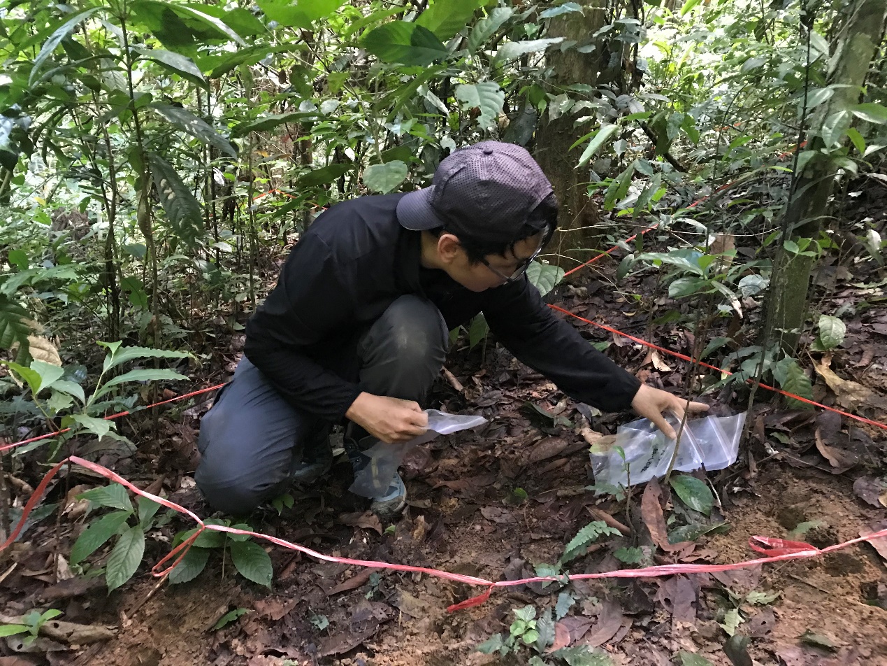 image-20211126163857-7