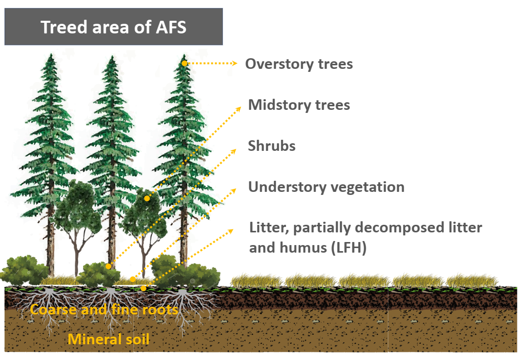 image-20211203215302-1