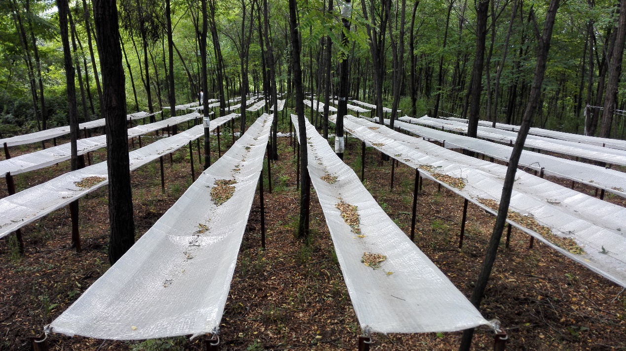 image-20211217184056-6