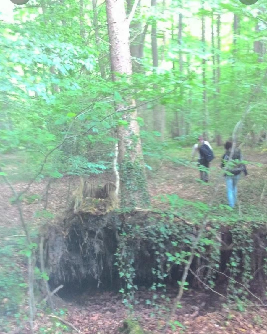 image-20211217184757-3