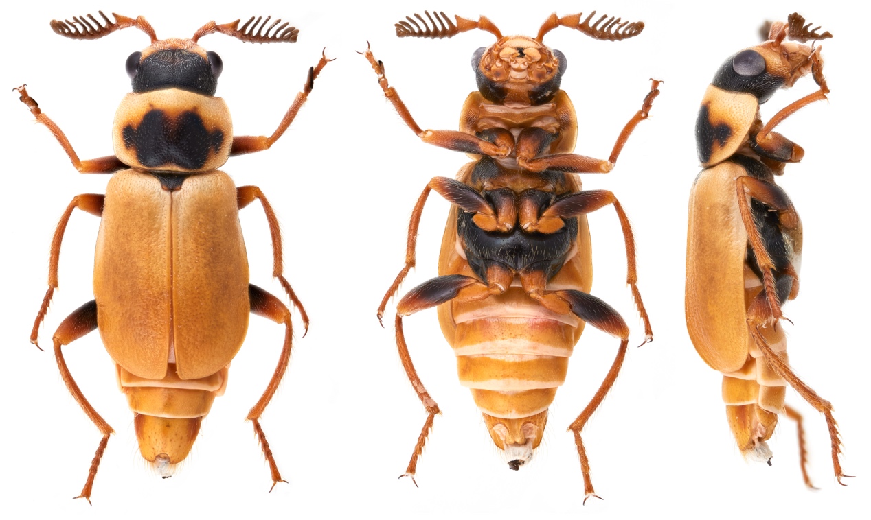 image-20211223162344-1