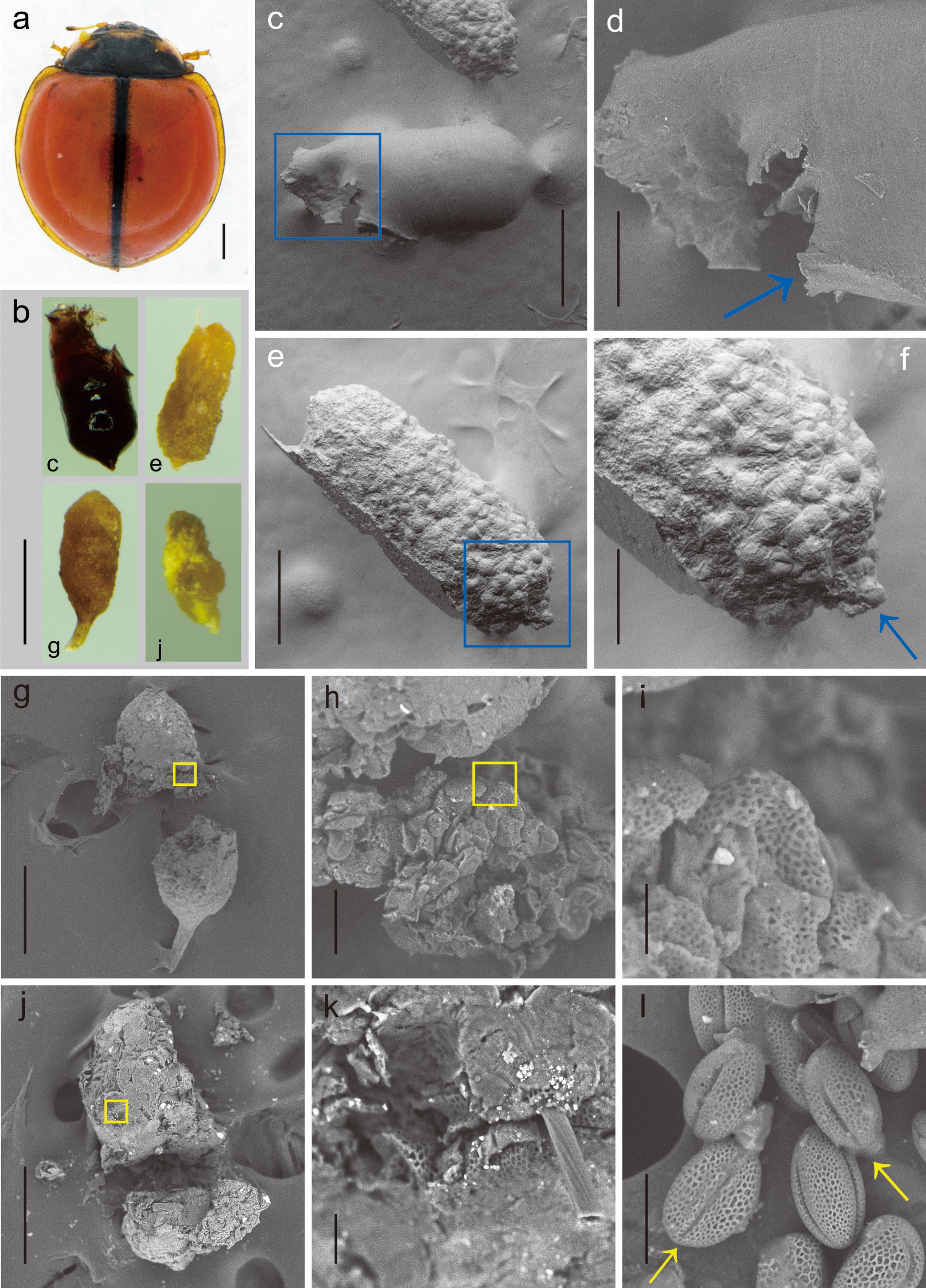 image-20211224103907-3