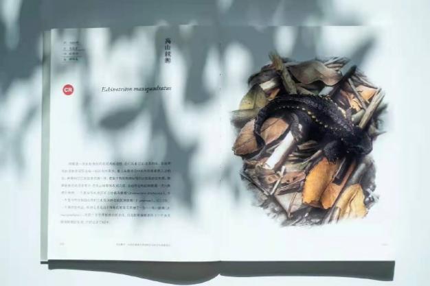 image-20220125095450-14