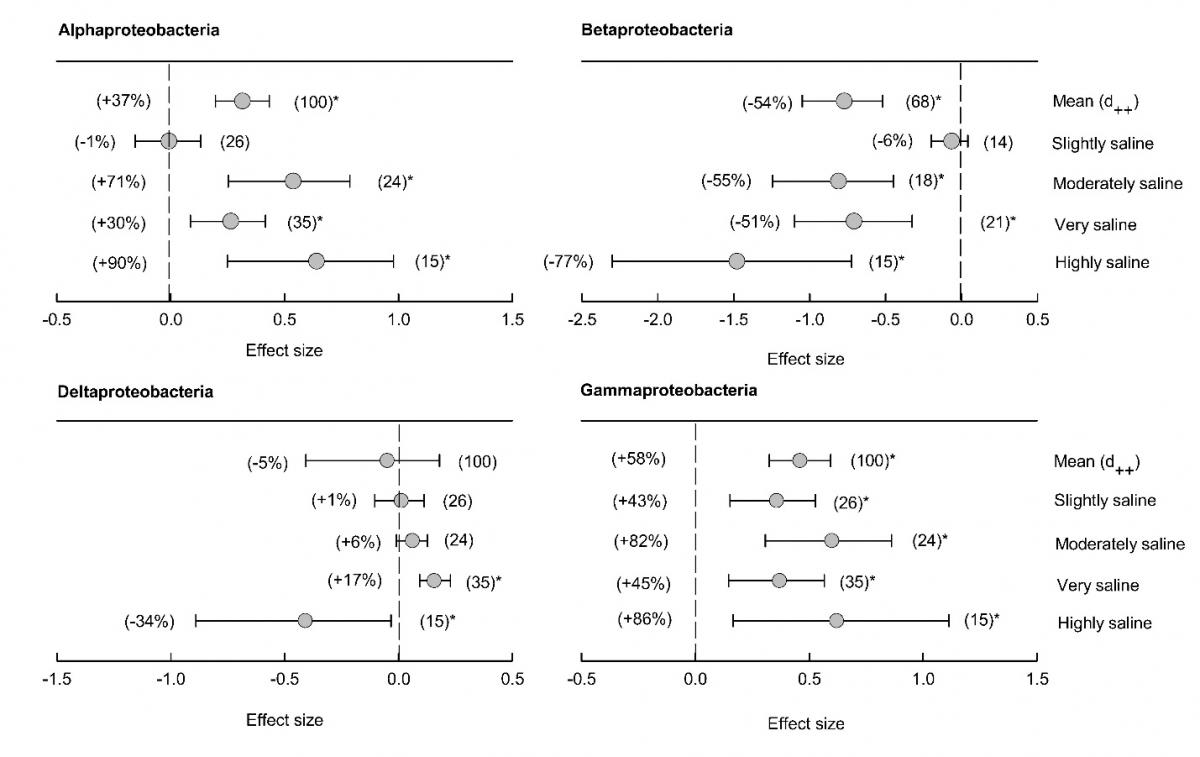 image-20220228164327-3