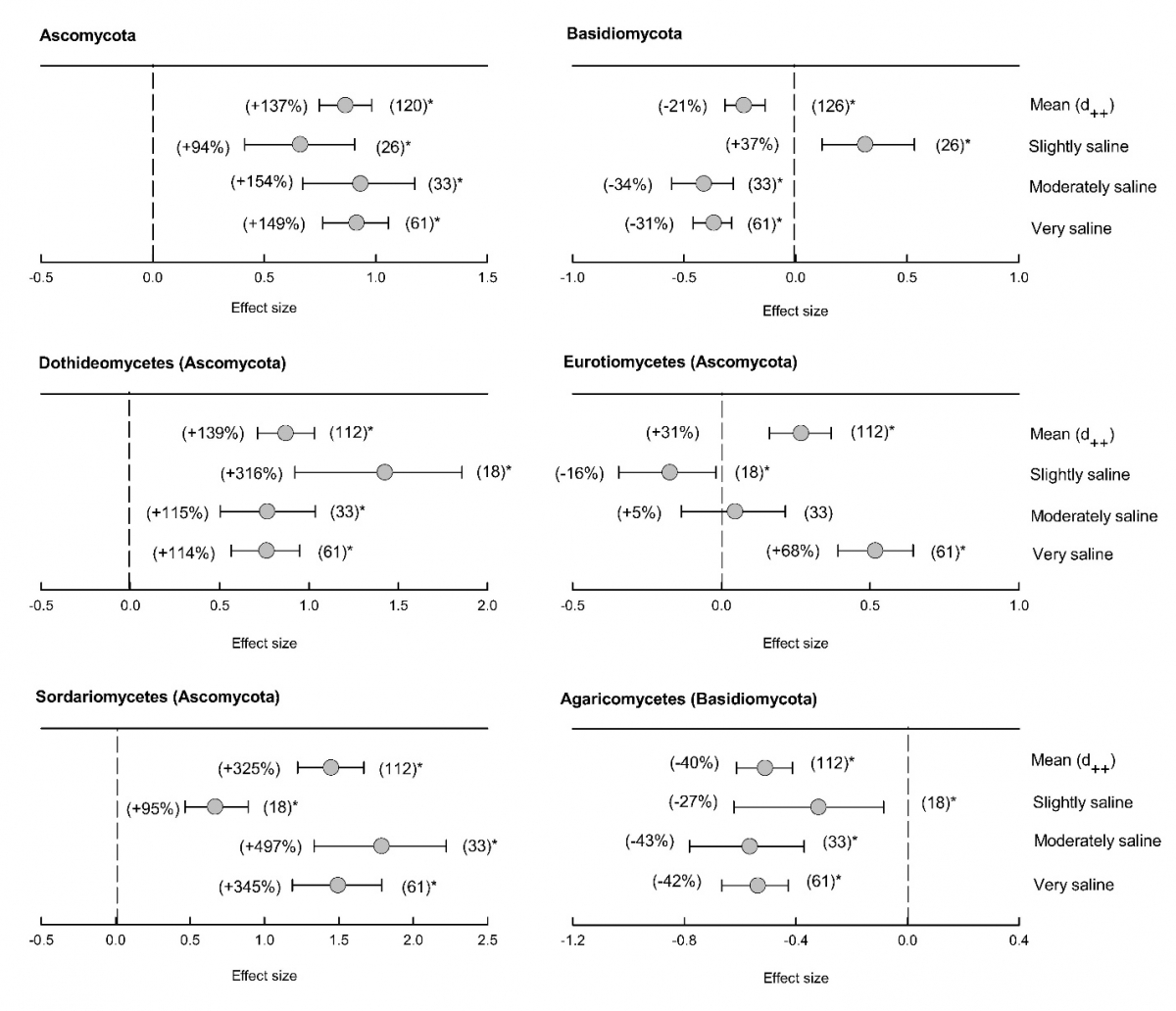 image-20220228164327-4