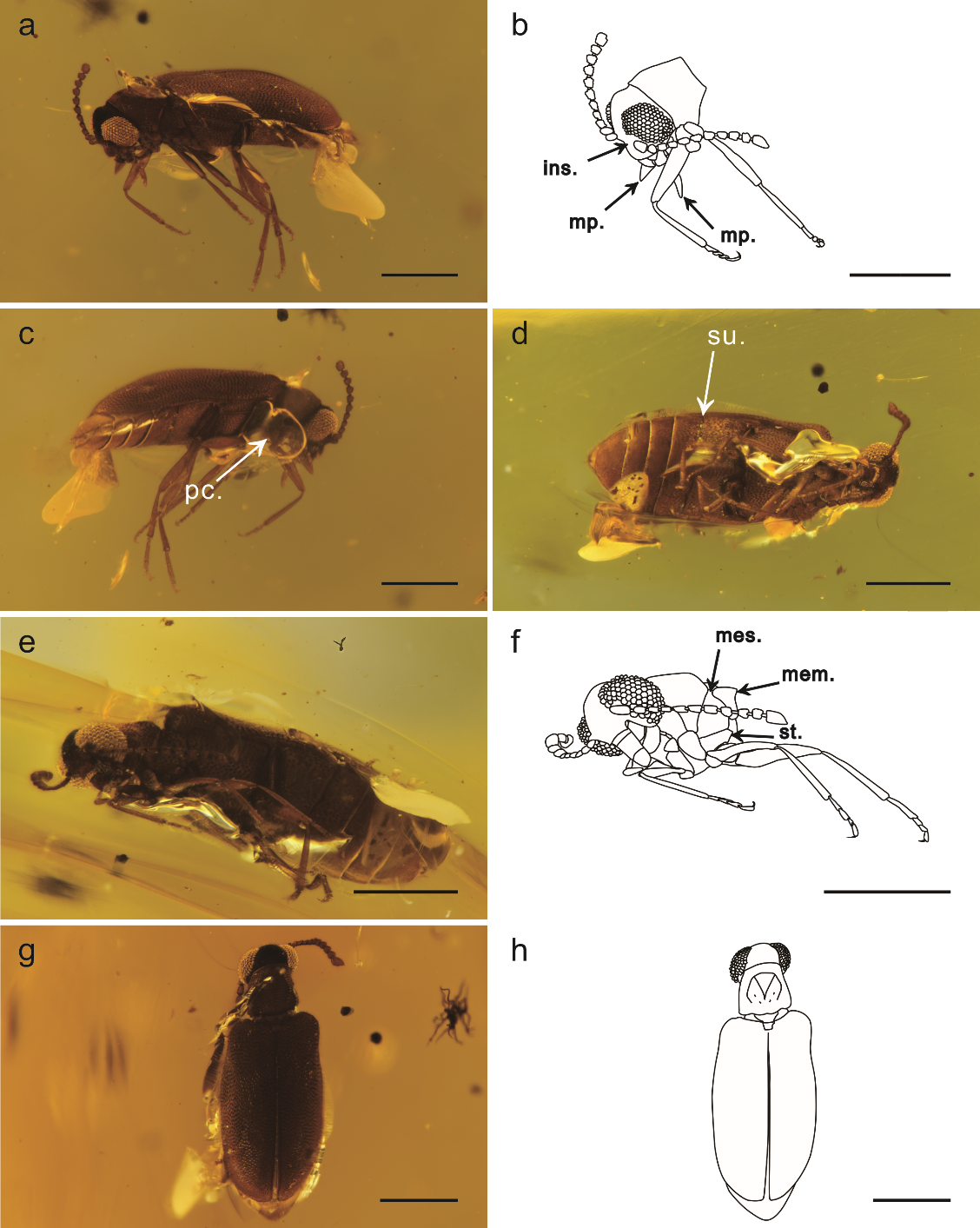 image-20220303094608-1