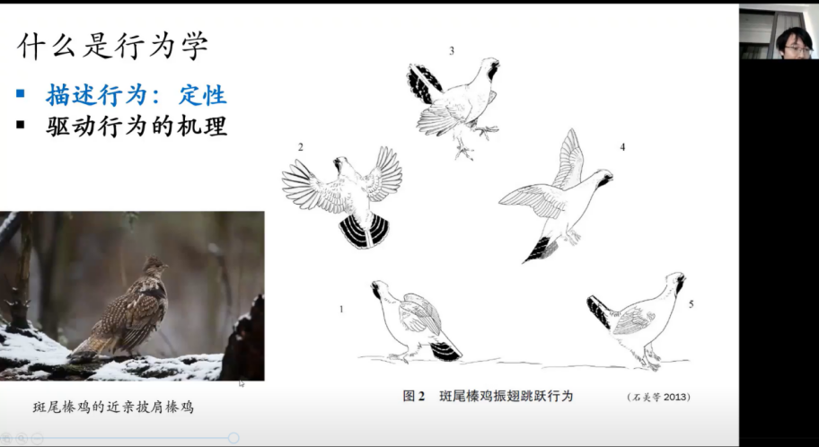 image-20220303095524-1