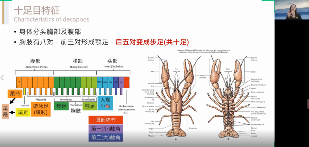 image-20220303095524-7