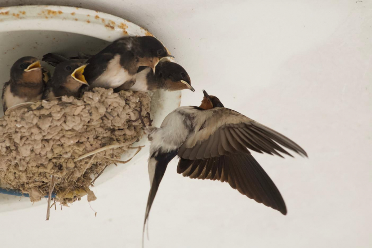 image-20220322145320-2