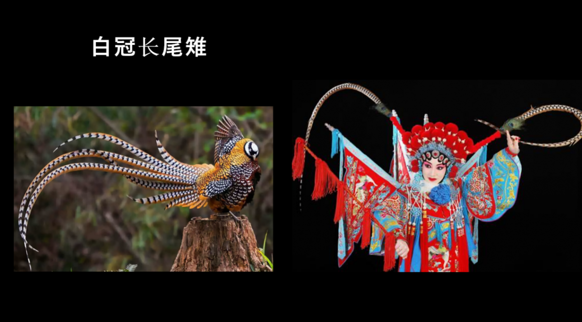 image-20220322145320-3