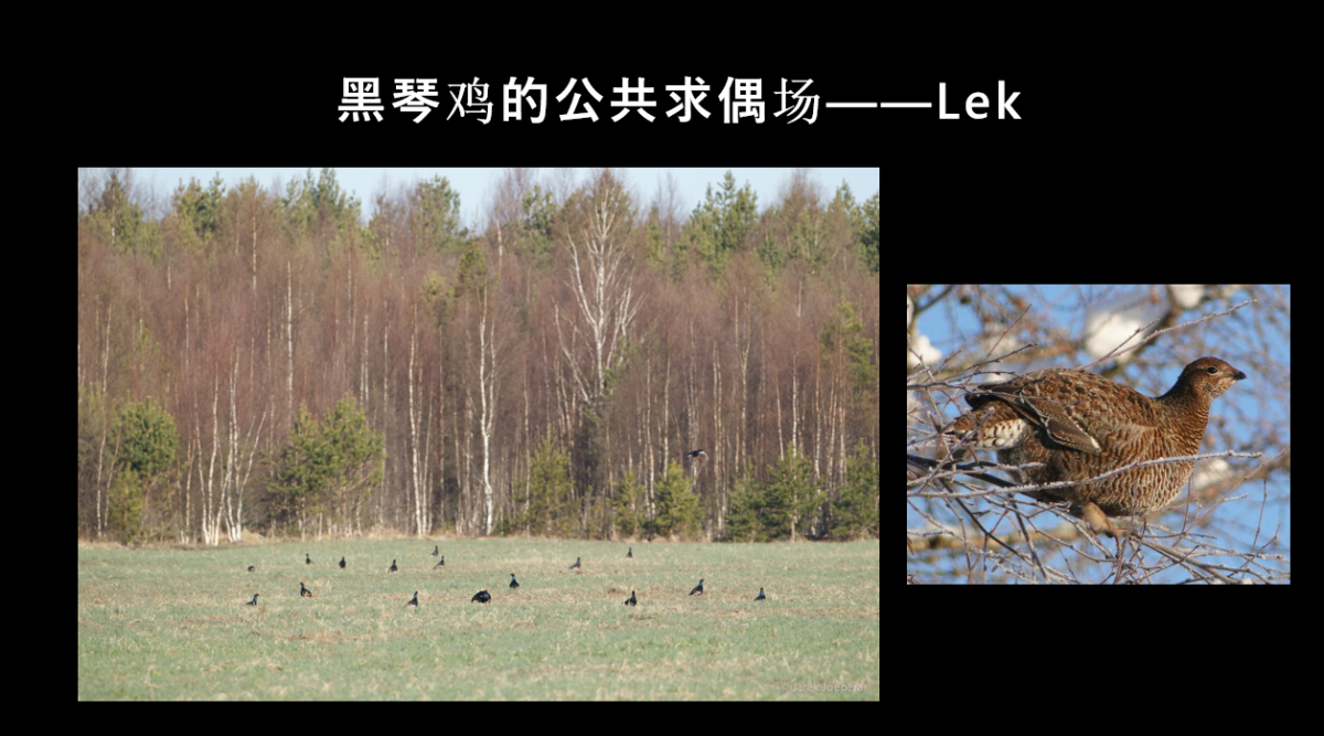 image-20220322145320-4