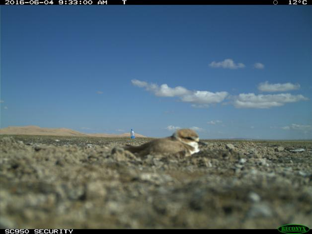 image-20220322145320-5