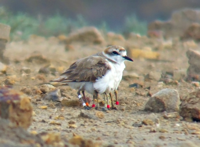 image-20220322145320-6