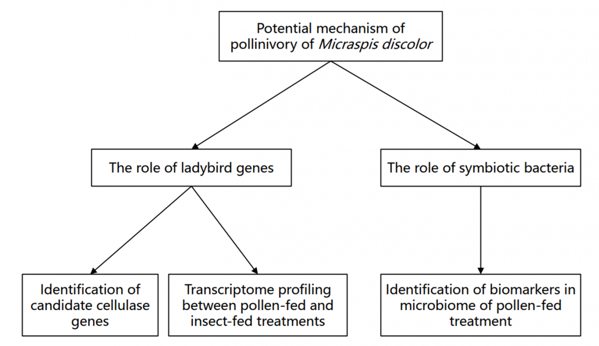 image-20220331142414-1