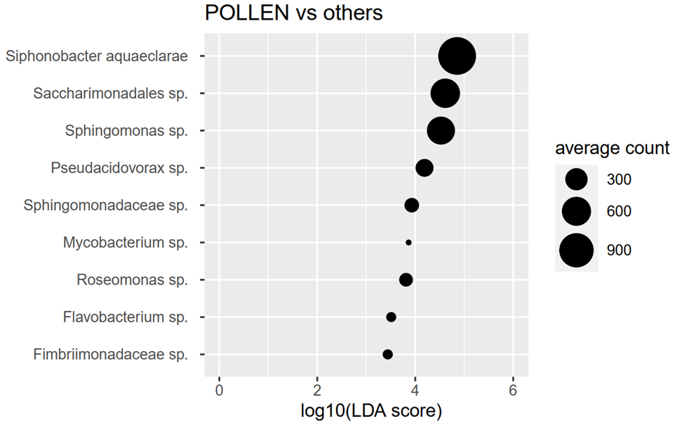 image-20220331142414-3