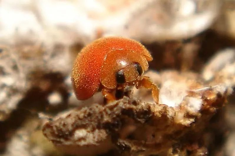 image-20220331143827-1