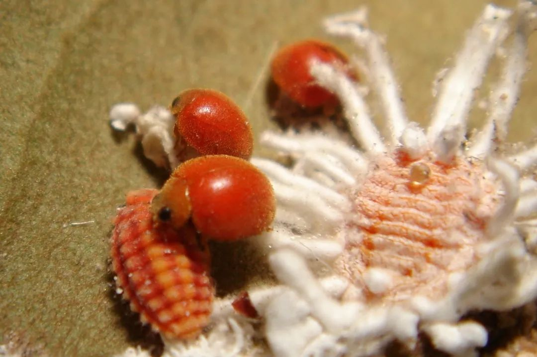 image-20220331143827-2