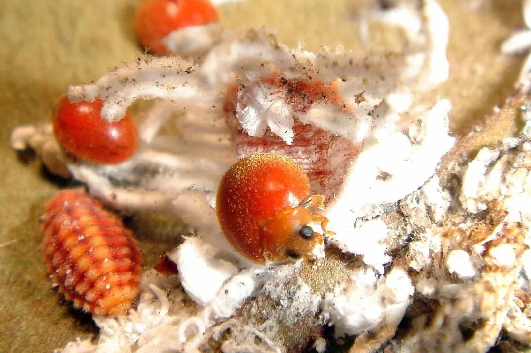 image-20220331143827-3